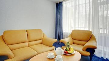 Фото номера Номер &quot;Стандарт&quot; Гостиница Olgino Hotel г. Санкт-Петербург 15