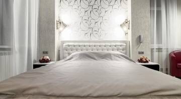 Фото номера Номер Делюкс с кроватью размера &quot;king-size&quot; Гостевой дом Alex Hotel on Zvezdnaya г. Санкт-Петербург 4