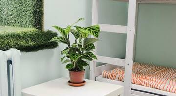 Фото номера Кровать в общем четырехместном номере Гостиница Lime Hostel г. Санкт-Петербург 4