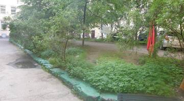 Фото номера Номер &quot;Стандарт&quot; Мини-отель Уютный Дворик г. Санкт-Петербург 37