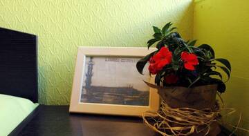 Фото номера Двухместный номер с 1 кроватью Хостел Aquarel г. Санкт-Петербург 3