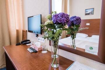 Фото номера Двухместный номер с 1 кроватью Гостиница Невский Отель Астер г. Санкт-Петербург 18