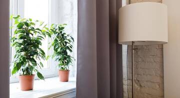 Фото номера Улучшенный двухместный номер с 1 кроватью Гостиница Simple Hostel Nevsky г. Санкт-Петербург 9