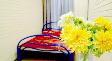 Фото Гостиница Pestel Inn г. Санкт-Петербург 3