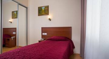 Фото номера Стандартный одноместный номер Гостиница Avetpark Hotel г. Санкт-Петербург 8