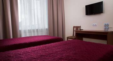 Фото номера Двухместный номер с 2 отдельными кроватями Гостиница Avetpark Hotel г. Санкт-Петербург 3