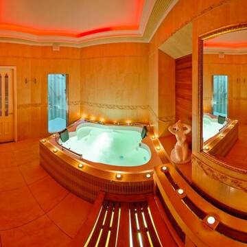 Фото номера Апартаменты Гостиница Golden Palace  г. Санкт-Петербург 4