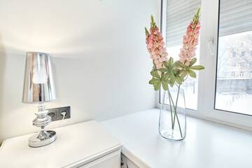 Фото номера Классика Гостиница Elegant Aparts г. Санкт-Петербург 7