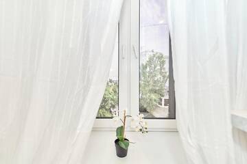 Фото номера Окно в Европу Гостиница Elegant Aparts г. Санкт-Петербург 6