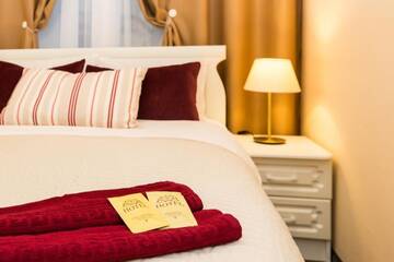 Фото номера Стандарт с двуспальной кроватью Гостиница Anny Time Hotel г. Санкт-Петербург 3