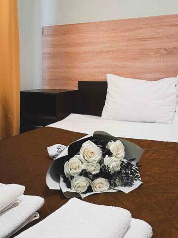 Фото номера Двухместный номер с двуспальной кроватью Гостиница Bv-Hotel г. Санкт-Петербург 6
