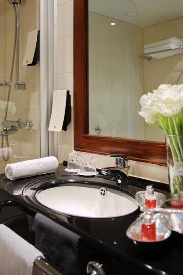 Фото номера  + Standard Single Гостиница Cosmos St. Petersburg Olympia Garden Hotel г. Санкт-Петербург 4